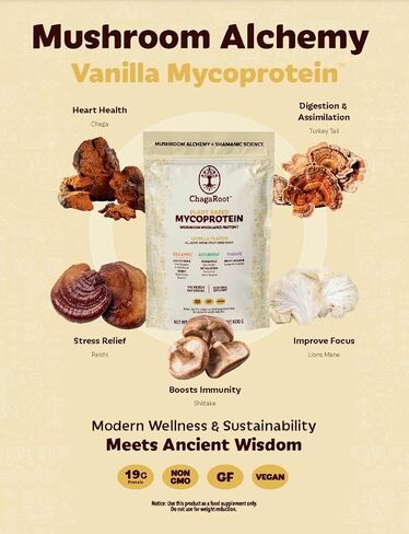 Mycoprotein Powder Chocolate, 800 Gram in Saudi Arabia