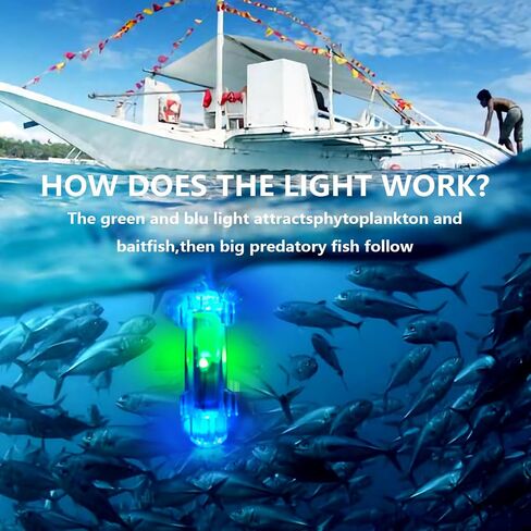 ضوء الصيد تحت الماء ، 2pcs IP68 LED مقاوم للماء ضوء وميض مع LED الأزرق والأخضر ، 4000+ ساعة العمر ، مصباح إغراء الطعم لصيد الأسماك في أعماق البحار في أعماق البحار in Kuwait