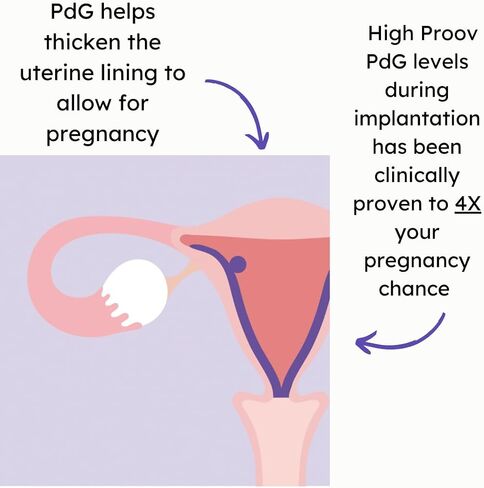 Proov PdG Test | 5 Progesterone Metabolite Test Strips | Only FDA Cleared Test to Confirm Successful Ovulation at Home | 1 Cycle Pack | Works Great with Fertility, Pregnancy & Ovulation Tests in Kuwait