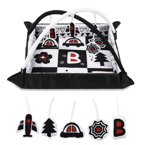 BALAPET Black and White Baby Gym Mat for Baby Floor Tummy Time, Soft Padded Play Activity Mat with 5 Toys for Toddlers & Infants, Washable Ball Pit for Early Sensory Exploration and Skill Development