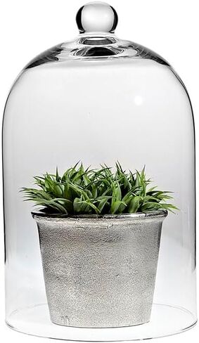 مجموعة أبوت 400-CLOCHE-729 Cloche، ارتفاع 10 بوصات، شفاف in Saudi Arabia
