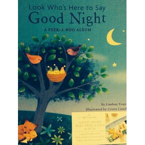 Hallmark Good Night Baby Peek-a-Boo Album
