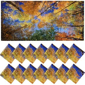Hortsun 18 Pcs Fluorescent Light Covers for Ceiling, 4 x 2 ft Classroom Covers Magnetic Filters for Office School Home Drop Ceiling Decorations (Starry Sky)