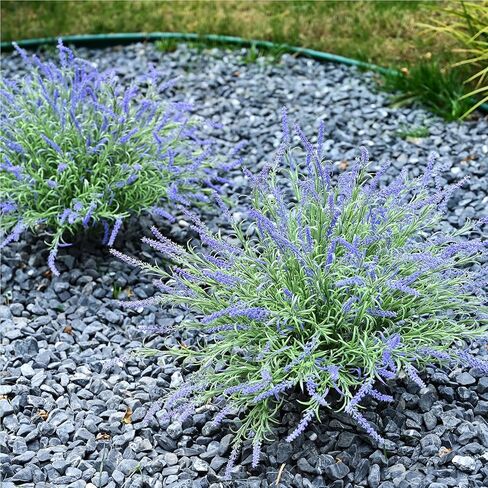 alyptus نباتات صناعية مقاومة للأشعة فوق البنفسجية في الهواء الطلق 16 حزمة من السرخس المزيفة والأوراق الخضراء والخضرة الصناعية، والزهور البلاستيكية للشرفة الأمامية في الهواء الطلق، والفناء، والمزارعين، والديكور، وديكورات الحديقة (السرخس) in Kuwait