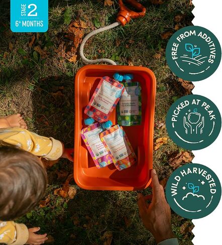 Babylife Organics Stage 2 – Heavy Metal Safe, Organic Baby Food - Apple, Carrot, Spinach & Kale, 3.5 Ounce Pouch (6 Pack) in Kuwait