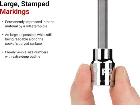 TEKTON 3/8 Inch Drive x #4 Phillips Bit Socket | SHB11204 in Saudi Arabia