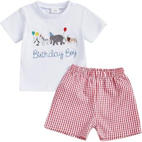 Toddler Baby Boy Birthday Outfit Letter Animals Balloon Embroidery Short Sleeve T-Shirt and Gingham Plaid Shorts Set