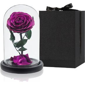 DuHouse Preserved Real Rose Forever Flowers in Glass Dome Eternal Enchanted Rose Box Gift for Her Valentines Mother's Day Birthday Anniversary Thanksgiving Christmas (Dark Green)