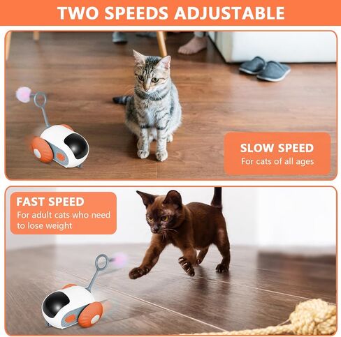 Remote Control Smart Electric Cat Toy Car, Interactive Cat Toys for Indoor Cats, Teazys Cat Toy Turbo Tail 2.0, Automatic Moving Mouse Cat Chase Toys for Bored Indoor Adult Cats Kittens in Saudi Arabia
