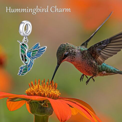 Ladybug Charms for Bracelet Sterling Silver Infinity Ladybird Beads Charm Ladybug Jewelry for Women in Kuwait