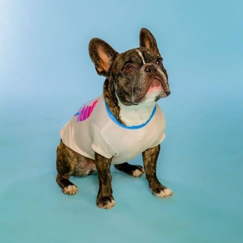 تي شيرت Doggy Parton Black Be A Dolly - XXL in Saudi Arabia