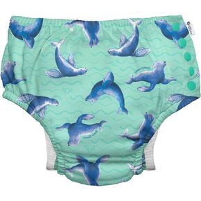 i play. by green sprouts Reusable, Eco Snap Swim Diaper with Gussets, UPF 50, 12 mo, Seafoam Sea Lions - Galapagos, Patented Design, STANDARD 100 by OEKO-TEX Certified