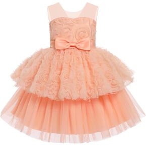 OBEEII Formal Dress Toddler Girls Pageant Dress Flower Girl Dress Wedding Elegant Bowknot Tutu Dress Birthday Communion Gown
