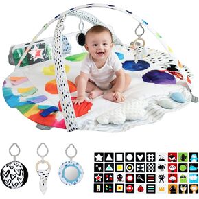 Baby Play Gym, 4 Zone Sensory & Motor Skills Development Activity Mat, Large 45" Padded Palette Play Mat for Newborn to Toddler with STEM Based Toys, Textures, Learning Cards