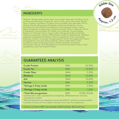 Blackwood Bounty Grain Free Cat Food, Whitefish and Lentil Recipe, 4.5 lb. Bag in Saudi Arabia