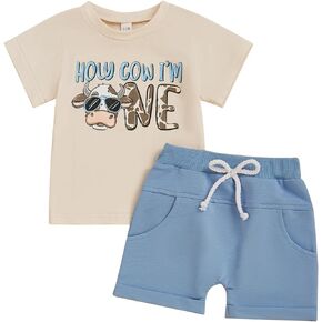 Infant Toddler Baby Boy First 2nd Birthday Outfit Short Sleeve Birthday Shirt Shorts Cake Smash Summer Outfit