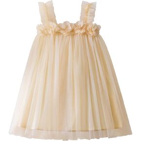 TTYAOVO Toddler Girl Tulle Dress Baby Princess Tutu Skirt