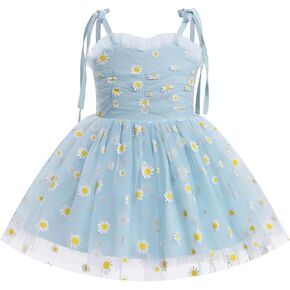 OBEEII Baby Girls Tulle Tutu Dress Toddler Strawberry/Heart/Daisy Print Birthday Dress Baptism Cake Smash Photoshoot Outfit
