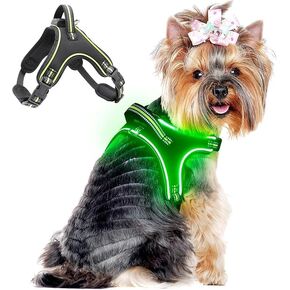 Light Up Dog Harness No Pull LED Dog Harness with Handle Rechargeable Rainproof Dog Harness with Lights for Night Walking Lighted Dog Vest Harness for Small Medium Large Dogs (Green, M)
