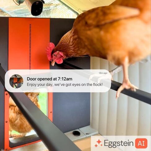 Smart Coop All-in-One Chicken Coop Kit – Includes Automatic Door, and (2) CoopCams for 4-6 Chickens, Solar Optional in Saudi Arabia