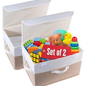 Pack of 2 Baby & Kids Toy Storage Organizer for Dinosaur Toys & Stuffed Animal Organizer-15"x10"x10" Foldable Fabric Storage Bins with Lids & Blanket Basket Box for Living Room Decor Home Organization