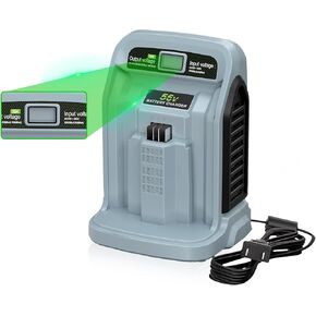 【10A FAST CHARGER】 Replacement for EGO CH5500 56V Battery Charger CH2800D/CH7000/CH2100/CH3200/CH8000, Compatible with EGO 56-Volt Power+ Lithium-ion Battery BA2800/BA4200/BA1400/BA2240/BA1120/BA4480T