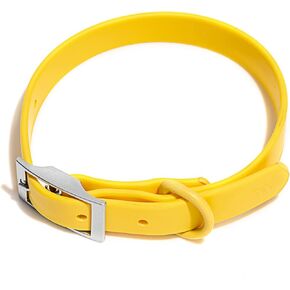 Wild One Navy Dog Collar, Medium in Kuwait