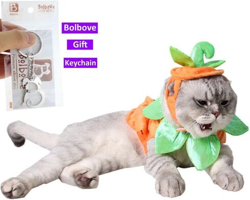 Pet Christmas Santa Claus Suit Costume with Hat for Cats Puppies in Saudi Arabia