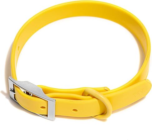 Wild One Navy Dog Collar, Medium in Kuwait