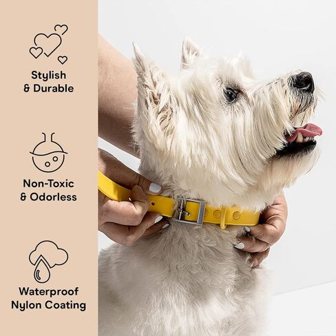 Wild One Navy Dog Collar, Medium in Kuwait