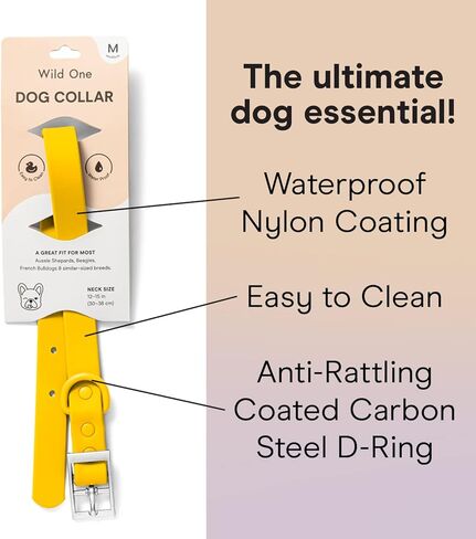 Wild One Navy Dog Collar, Medium in Kuwait