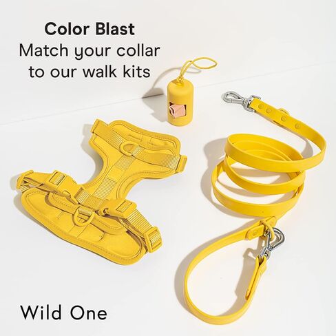 Wild One Navy Dog Collar, Medium in Kuwait