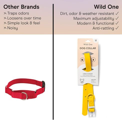 Wild One Navy Dog Collar, Medium in Kuwait