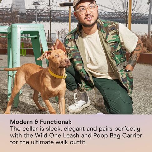 Wild One Navy Dog Collar, Medium in Kuwait