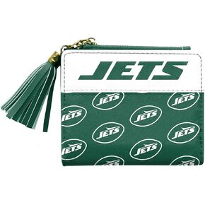 Littlearth Unisex-Adult NFL San Francisco 49ers Mini Organizer, Team Color, One Size
