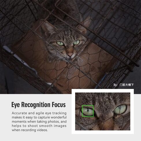 Ttartisan 27 مم F2.8 عدسة ضبط تلقائي ، متوافقة مع كاميرات Fuji X-Mount XS10 X-A5 X-A7 X-M1 X-M2 X-E4 X-T1 X-T10 X-T2 X-T20 X-T3 X-T4 X -T100 X-T200 X-T30 X-Pro1 X-Pro2 X-Pro3 X-E1 (أسود) in Kuwait