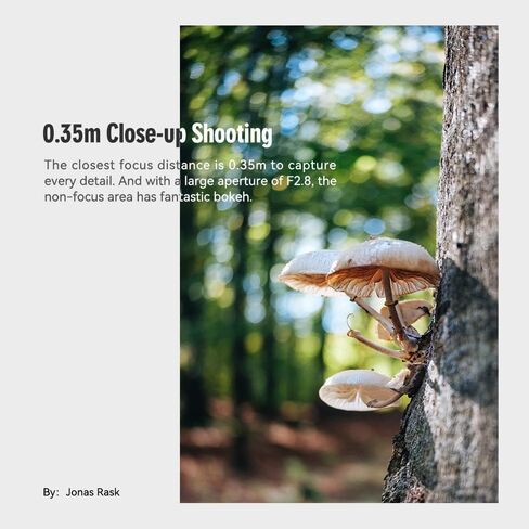 Ttartisan 27 مم F2.8 عدسة ضبط تلقائي ، متوافقة مع كاميرات Fuji X-Mount XS10 X-A5 X-A7 X-M1 X-M2 X-E4 X-T1 X-T10 X-T2 X-T20 X-T3 X-T4 X -T100 X-T200 X-T30 X-Pro1 X-Pro2 X-Pro3 X-E1 (أسود) in Kuwait