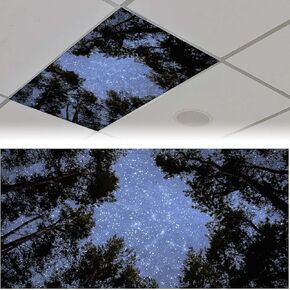 2 Pack Fluorescent Light Cover for Ceiling - Sky Rainbow Flowers Magnetic Covers for Classroom, Filters Drop Shade Panel for Office Home School, 4 X 2 Ft