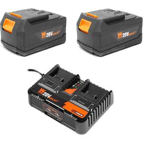 WEN 20V Max Starter Kit with Two 5.0 Ah Lithium-Ion Batteries and Dual Port Charger (20VB25D)