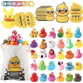 Rubber Ducks Kits 30 Pcs Assorted Duckies with 30 Duck Tags and 40 Rubber Bands with Storage Bag Random Duckies for Car Ducking Decor, Baby Bath & Pool Toys, Party Favors