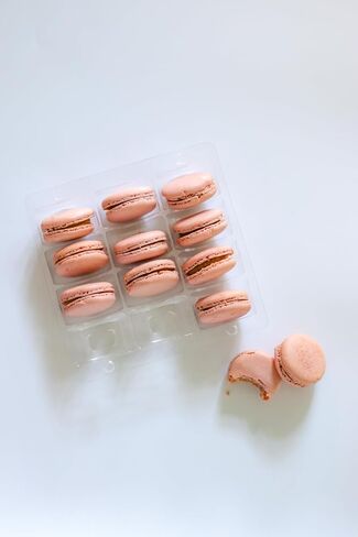Vend Exchange Clear Plastic Macaron Containers - Fits 6 Macarons (Pack of 15) in Saudi Arabia