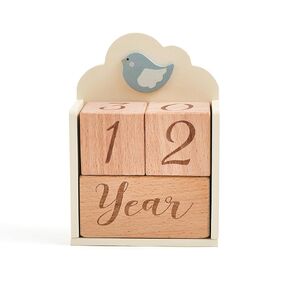 Promise Babe Milestone Blocks Set of 3 with Bird Storage Box, Baby Age Blocks for Monthly Weekly Milestone Wooden Photo Props Set Perfect for Baby Shower and Keepsake Gifts