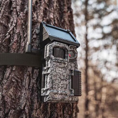 Trail Camera Straps, Game Cam Mounting Straps w/Durable Alloy Buckle, 6 ft. Long Hunting Utility Strap for Hanging Deer Camera Tree Stand, 25mm Width, Brown, 4-Pack in Saudi Arabia