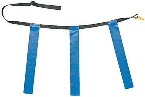Deluxe Flag Football Game Set: Champion Sports Flag Football Equipment - Game Sets with 5 Blue Flag Football Belts, 5 Yellow Flag Football Belts, 4 Orange Disc Cones and Mesh Carrying Bag in Saudi Arabia