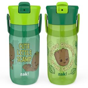 Zak Designs Harmony Disney Kid Water Bottle for Travel or At Home, 14oz Stainless Steel is Leak-Proof and Vacuum Insulated (Minnie Mouse)