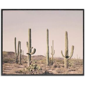 Stupell Industries Blush Cactus Field Framed Giclee Wall Art Design by Sisi and Seb, Black Framed, 20 x 16