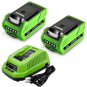 2Pack 6000mAh 40V Lithium ion 29462 29472 Replacement Battery and 29482 Charger Compatible with GreenWorks 40V GMAX Power Tools 29472 29252 20202 22262 25312 25322 20642 22272 27062 G-MAX Tool(Green)