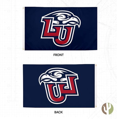 Desert Cactus Liberty University Flag Flames Flag Banners 100% Polyester Indoor Outdoor 3x5 feet Flags (Style 3) in Saudi Arabia