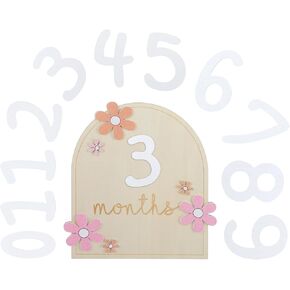 Monthly Baby Milestone Signs, Baby Monthly Milestone Cards, Daisy Wooden 3D Monthly Milestone, Baby Announcement Sign, Newborn Photography Props to Document Growth (1-12 Month Number)
