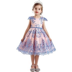HNXDYY Flower Girl Tutu Birthday Party Pageant Lace Princess Wedding Formal Pegeant Dance Gown